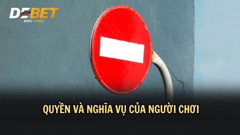 Người chơi có quyền và nghĩa vụ quy định