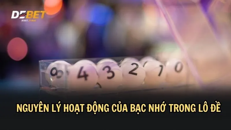 Nguyên lý hoạt động của hình thức soi bạc nhớ